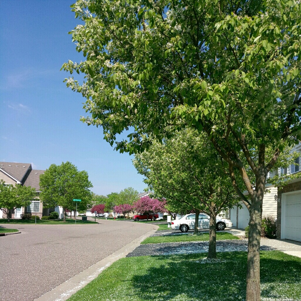 Meet your Posher, Mona